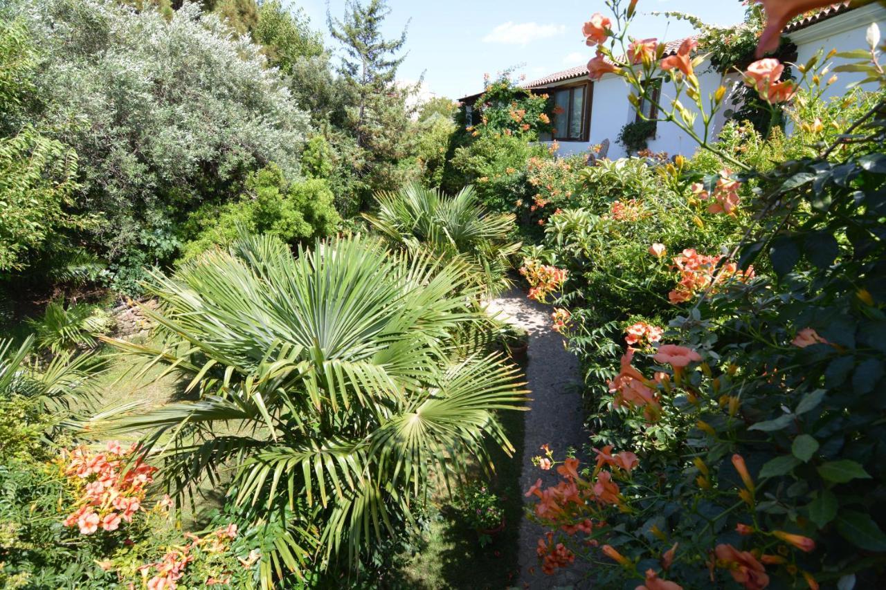 Residence L'Ulivo Budoni Luaran gambar