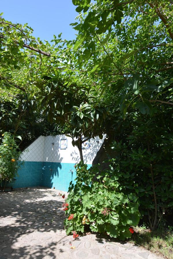 Residence L'Ulivo Budoni Luaran gambar